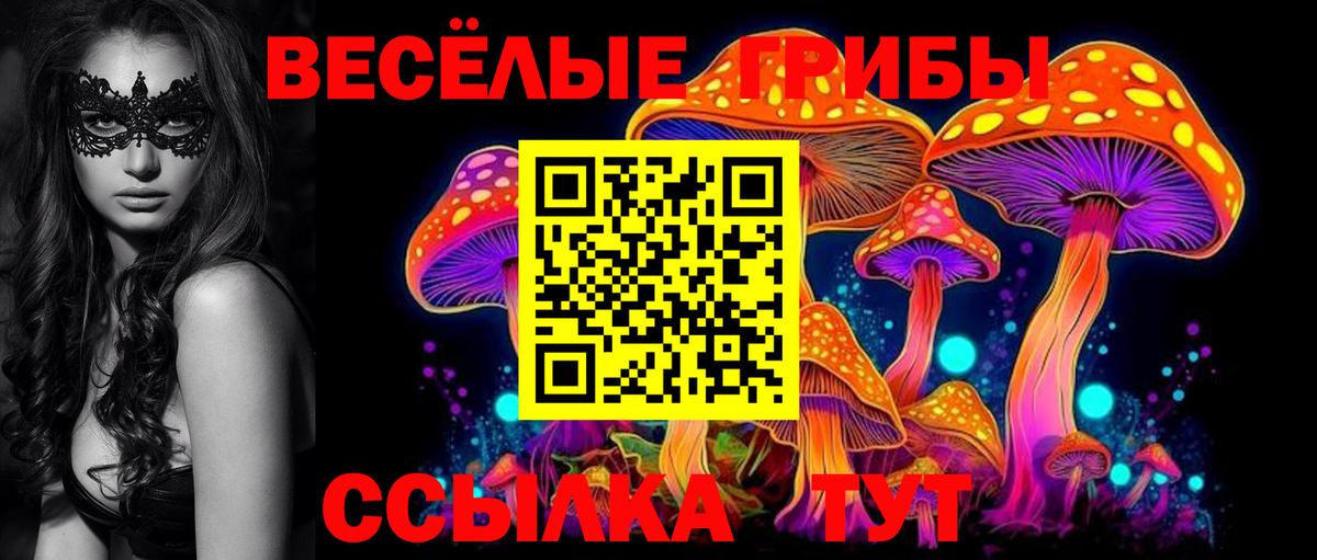 Красноярск  Галлюциногенные грибы MAGIC MUSHROOMS  Вход с VPN 