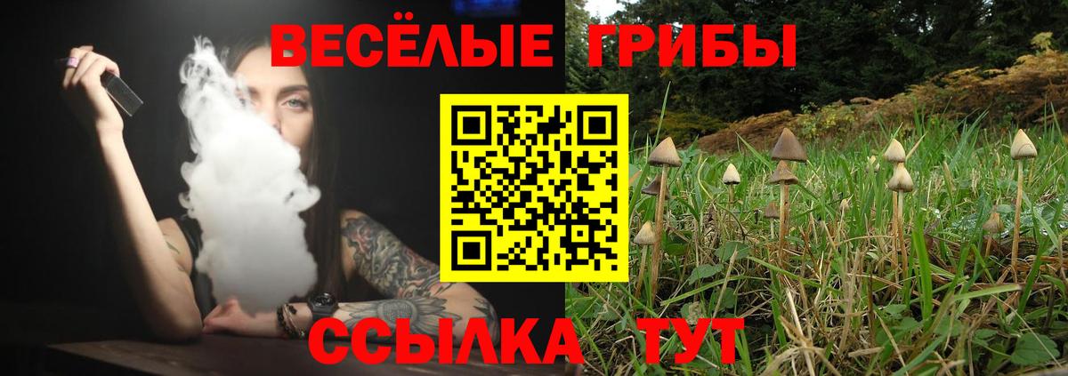 Галлюциногенные грибы мухоморы Красноярск