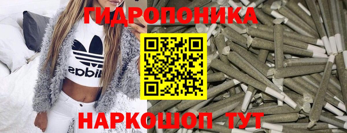 Шишки марихуана планчик Красноярск
